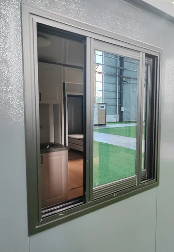 Fenêtres du P20